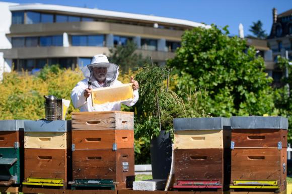 مواطن يُربي النحل على سطح بناية في مدينة لوزان