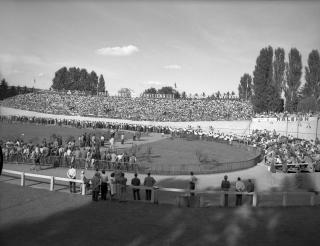Mekka des Radsports: Die offene Rennbahn von Oerlikon bei Zürich 1955.
