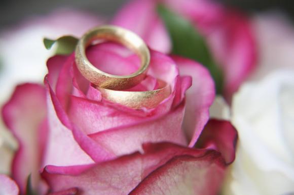 Auf einer rosa Rose liegen zwei goldene Ringe.