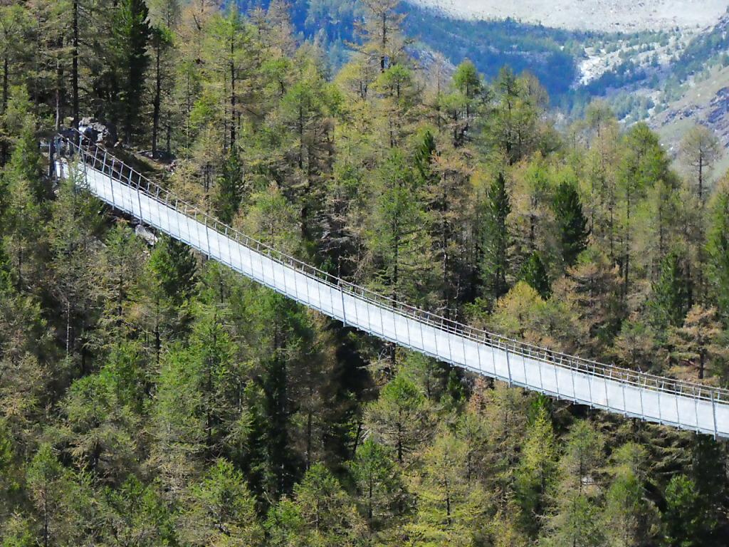 VS Aperto Ponte Sospeso Pedonale Pi Lungo Al Mondo SWI Swissinfo ch