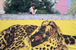 woman walks past the locarno leopard poster