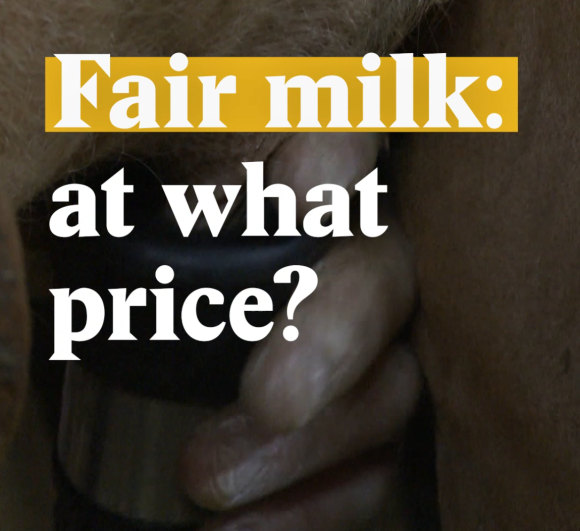 A cover image for a Nouvo video about fair-priced milk.