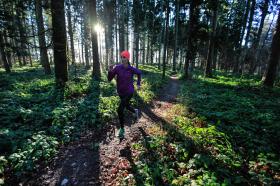 チューリヒのドイツトウヒの森でジョギングする女性