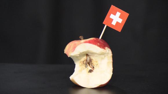Bitten apple with Swiss flag in it
