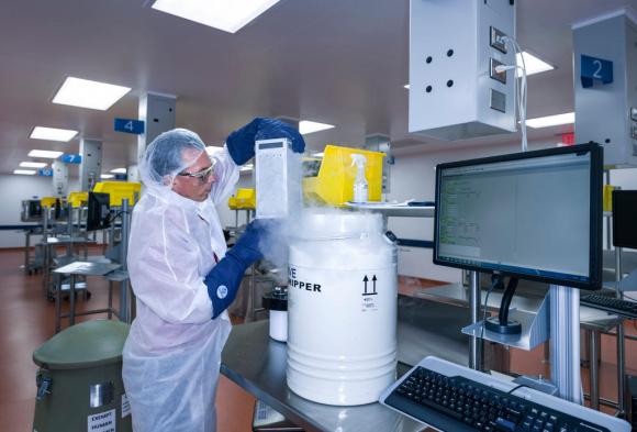 Human T cells belonging to cancer patients arrive at Novartis s Morris Plains, N.J., facility