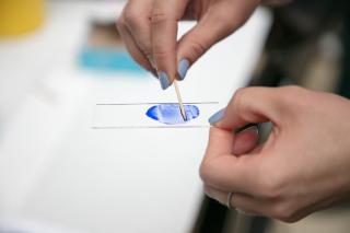 細胞を検出する実験