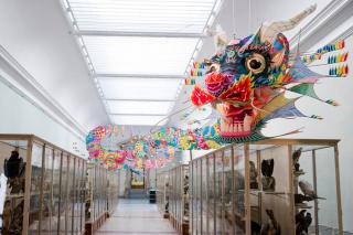 Ai Weiwei exhibition