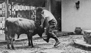 Che Guevara kämpft mit einem Stier