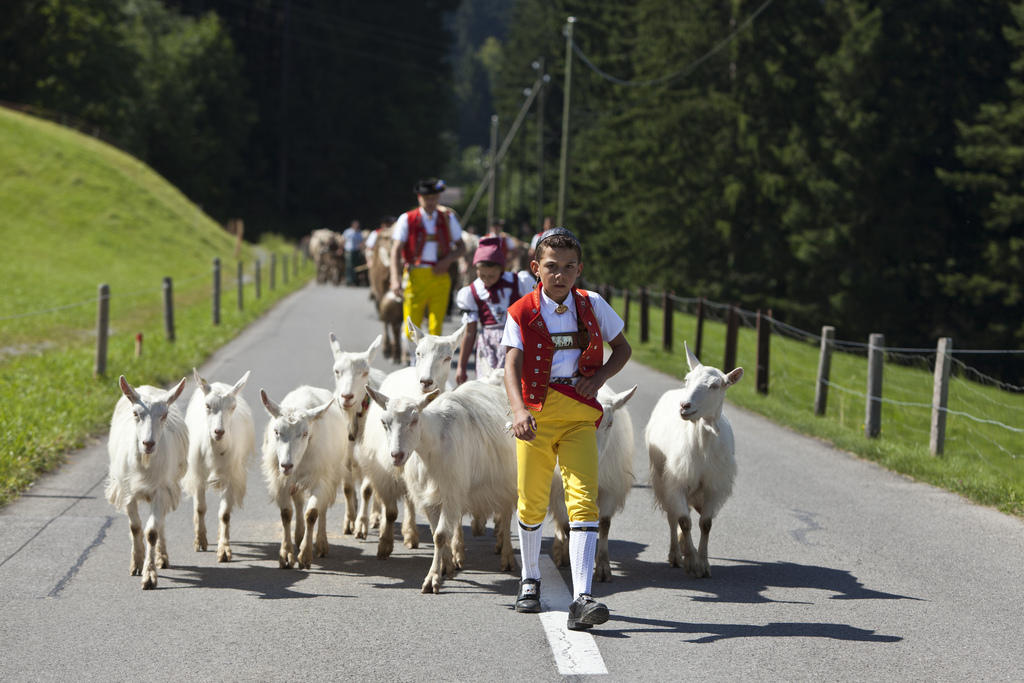 日本人がスイスに来て驚くこと Swi Swissinfo Ch