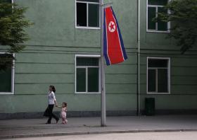 woman, child, and north korean flag