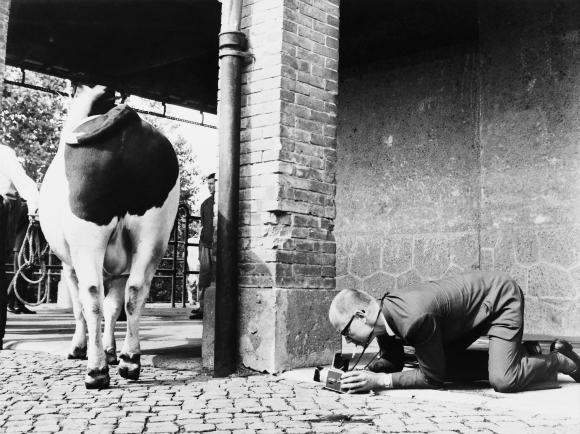 Der Photograph bei der Arbeit