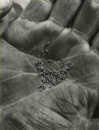 Hand mit Schräubchen, 1942