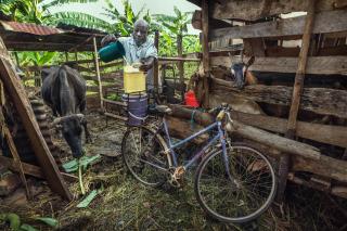 Ally Makopa carga sus bidones de leche en su bicicleta