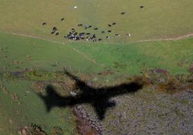 Sombra de un avión que sobrevuela un campo verde