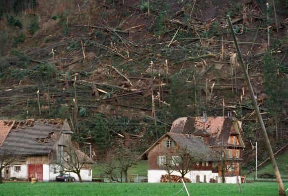 Hurricane Lothar destruction: damaged roofs of houses and fallen trees