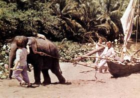 A scene from the 1960 film of Swiss Family Robinson