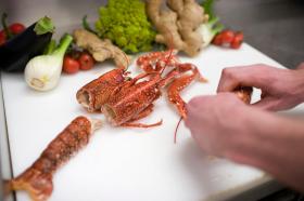 Switzerland bans crustacean cruelty - SWI 