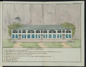 The cliff house, an illustration from the original manuscript of Swiss Family Robinson