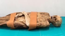 The mummy of Anna Catharina Bischoff found in Basel