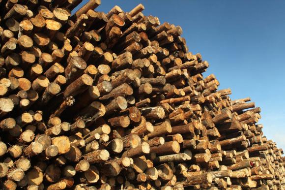 logs