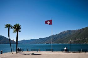 palm trees, lake, Swiss flag