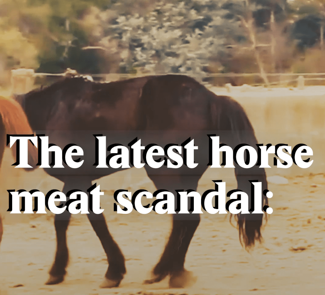 The latest horse meat scandal SWI swissinfo.ch