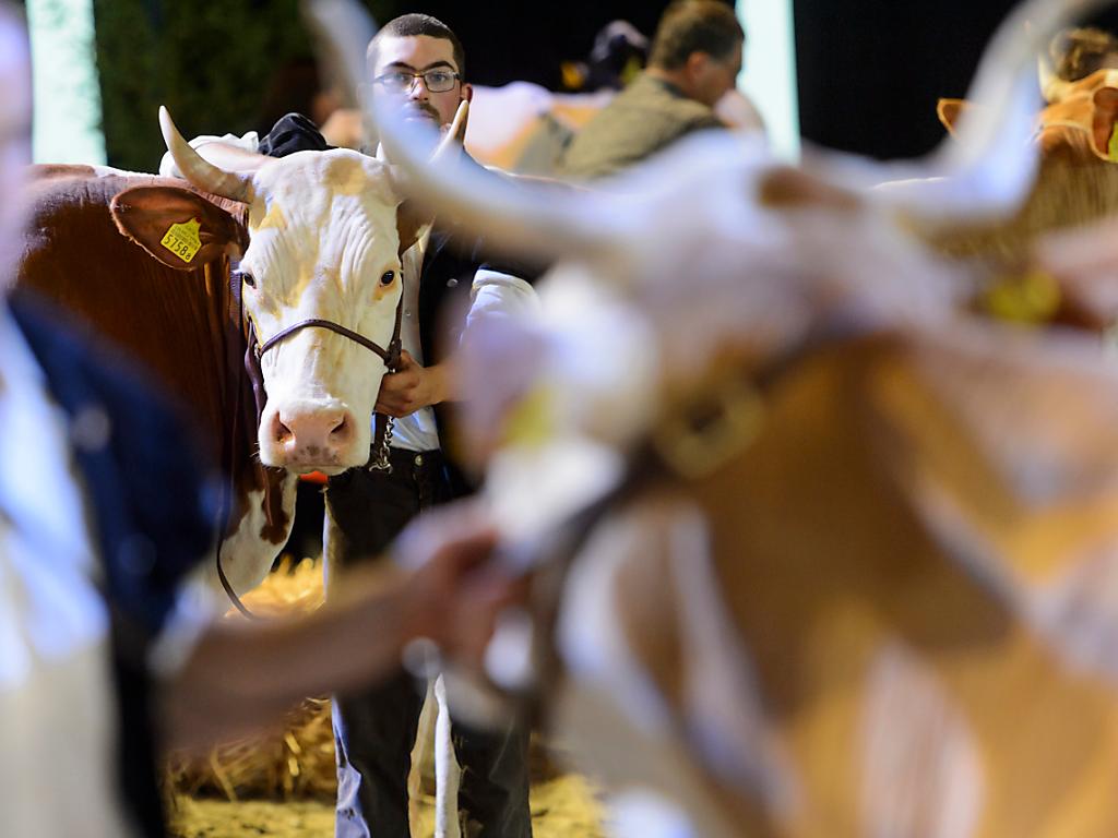 Critiques et louanges de la Protection suisse des animaux