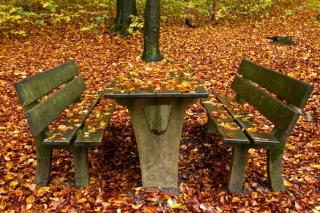 チューリヒの秋の風景