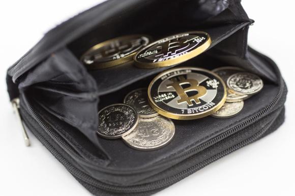 Wallet containing bitcoin