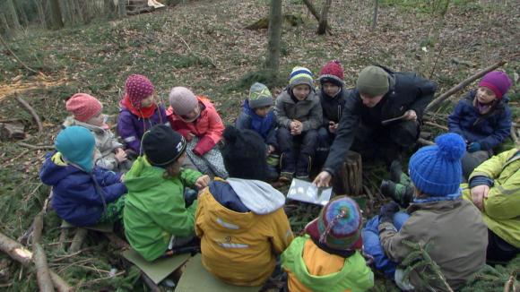 Group of school children sitting on forest ground