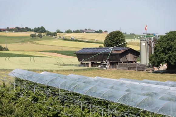 A picture of a Swiss farm and field