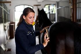 apprentice horse expert EFZ (Federal Vocational Education and Training Diploma)