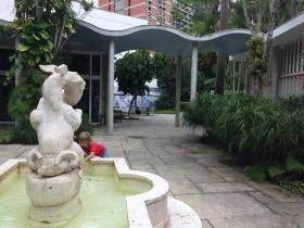 Jardimj do Instituto Moreira Salles, no Rio de Janeiro