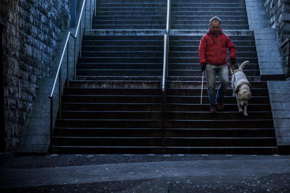 Une personne guidée par un chien d aveugles descend les escaliers