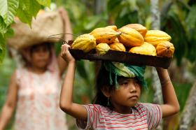 una niña lleva un canasto de frutas sobre la cabeza