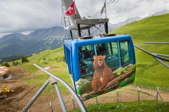 Napa the bear goes to his new home in a cable car
