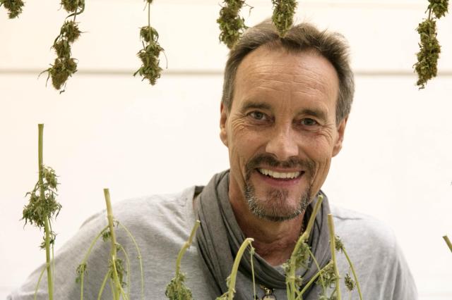 スイスの合法大麻ブームに暗雲 Swi Swissinfo Ch