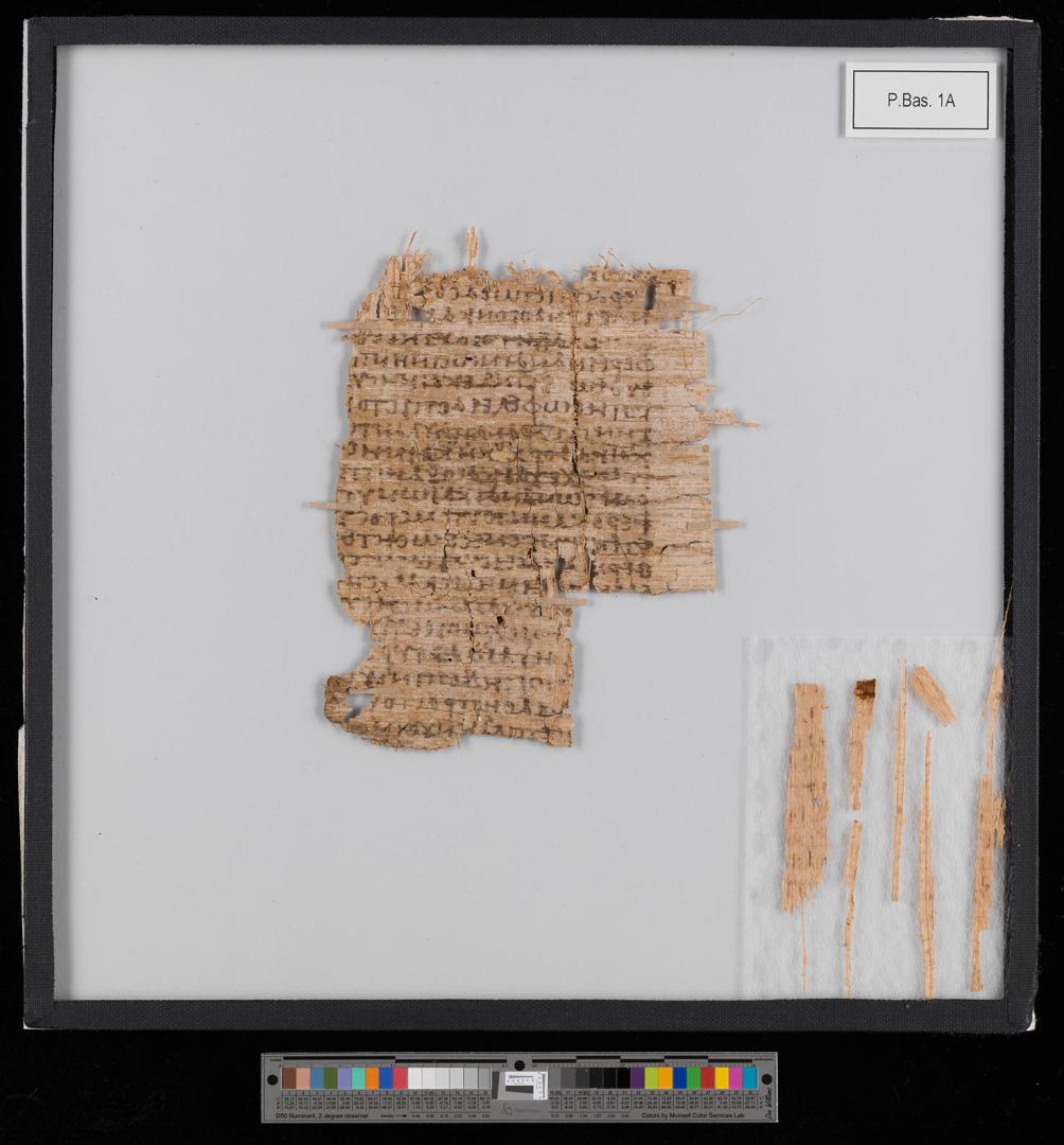 2,000-year-old papyrus medical mystery solved - SWI swissinfo.ch