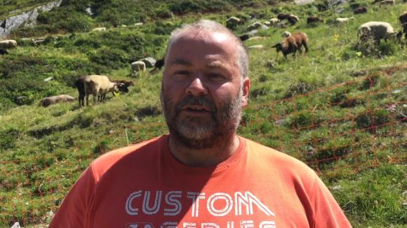 Schafhalter Ernst Vogel auf seiner Weide in den Urner Bergen