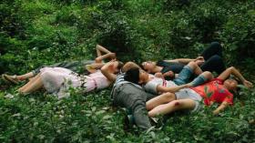 people lying in greenery