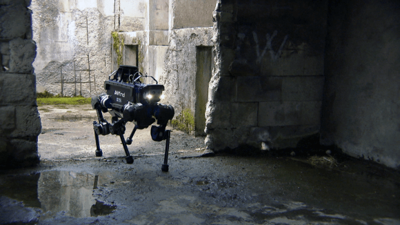 Vierbeiniger Roboter beim Untersuchen eines Kellers