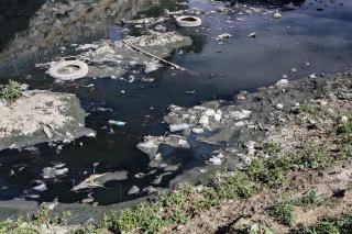 Agua contaminada del río Rocha.