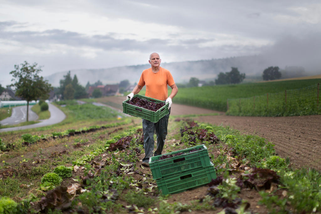 www.swissinfo.ch