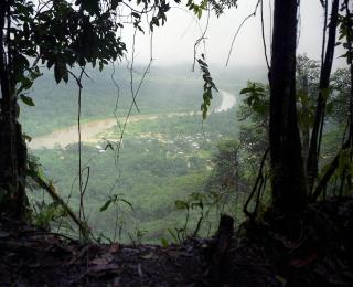 Vista de la selva, al fondo la ciudad de Pie de Pató