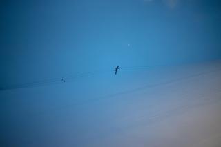 Ein einsamer Skiliftmast in bläulichem Dämmerlicht