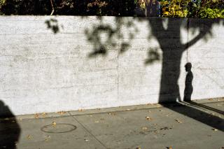 A wall with the shadow of a child and tree
