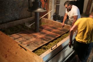 Two men place wood in a wine press filled with grapes