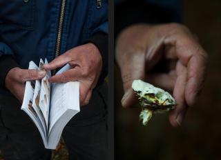 Mann hält ein Pilzbuch in der Hand, eine andere Hand zeigt einen Pilz