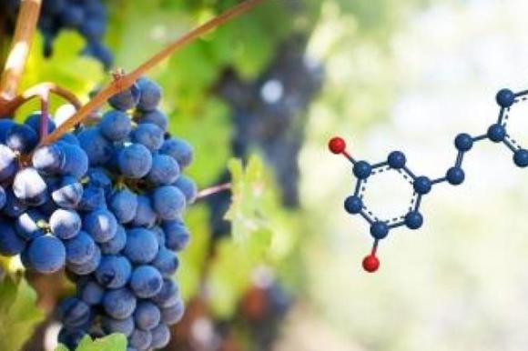 Racimo de uvas e imagen de una molécula