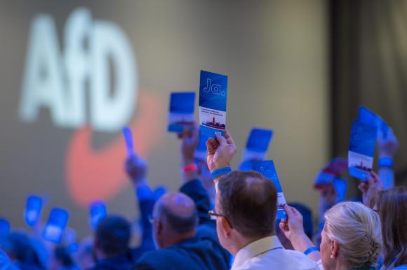 AfD-Mitglieder stimmen an einem Parteitag mit erhobenen Karten in der Hand ab